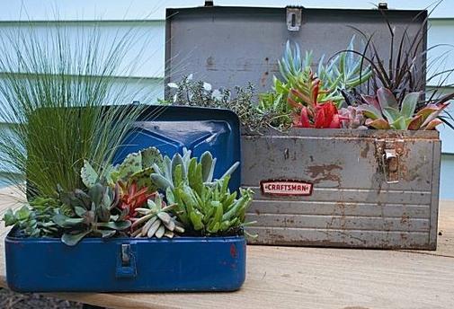 zanimljiva ideja za vrt - pustinja u kovčegu