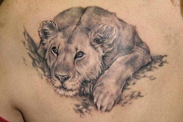 vrijednost lavlje tetovaže