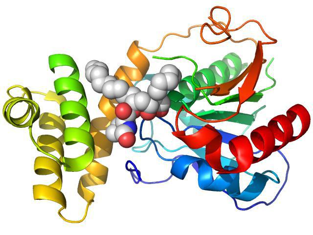 biološka uloga aminokiselina